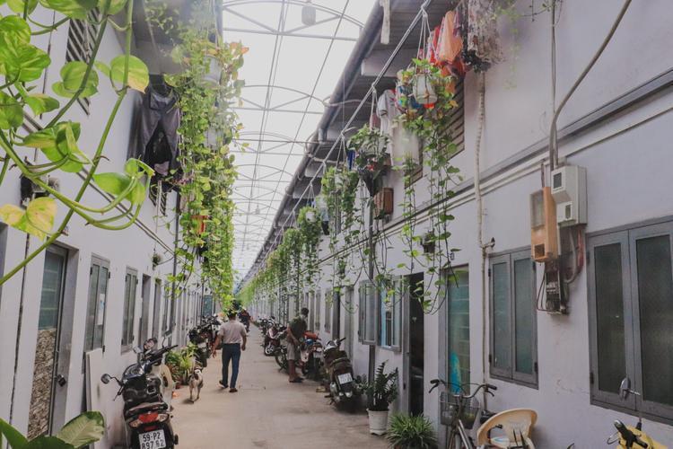 TP. Hồ Chí Minh: Nhu cầu tìm nhà trọ tăng mạnh đầu năm