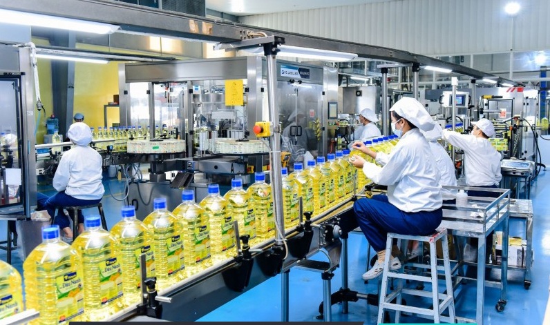 Quy chuẩn dầu thực vật tinh chế: 'Hàng rào' ngăn sản phẩm kém chất lượng