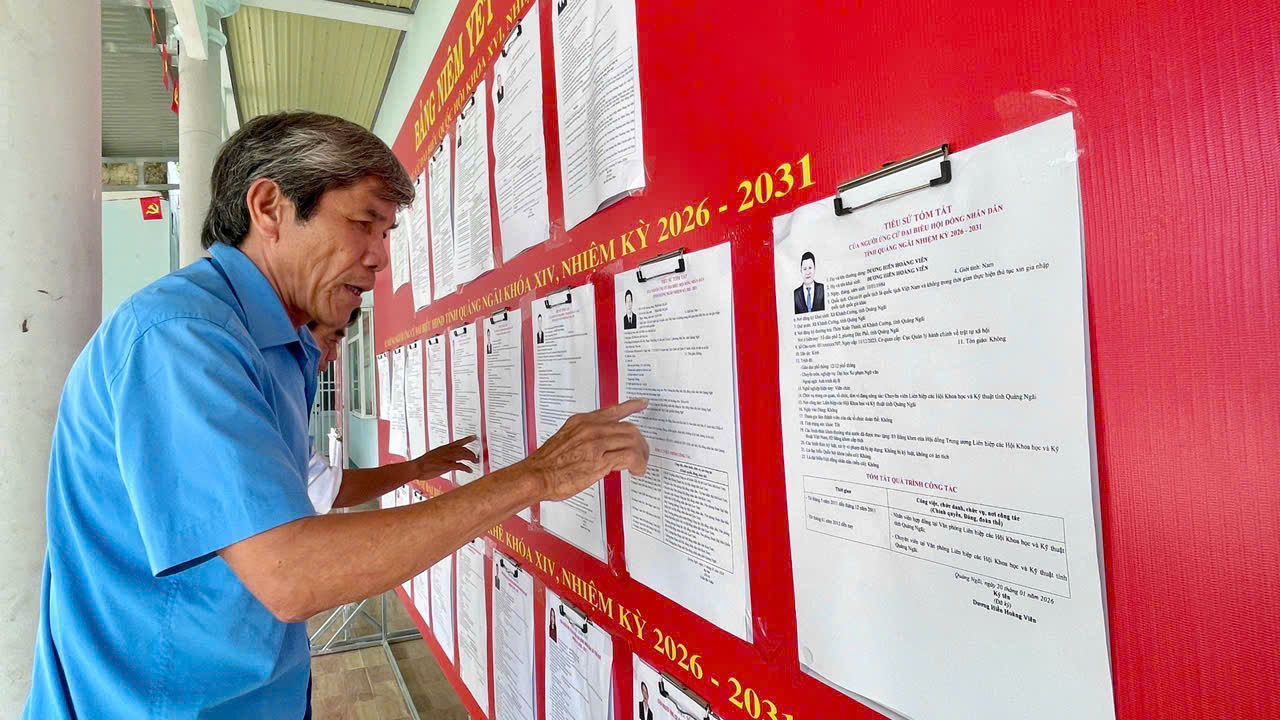 Quảng Ngãi: Ngư dân gác lại chuyến biển để tham gia bầu cử