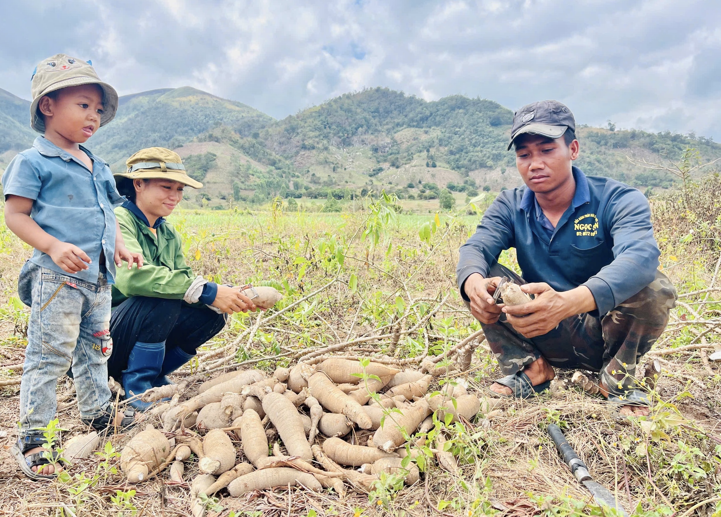 Gia Lai: Mì phơi đồi, sinh kế mùa khô của đồng bào Jrai, Bahnar
