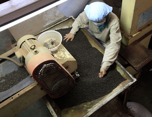 Xung đột Trung Đông: Doanh nghiệp xuất khẩu nông sản chủ động ứng phó