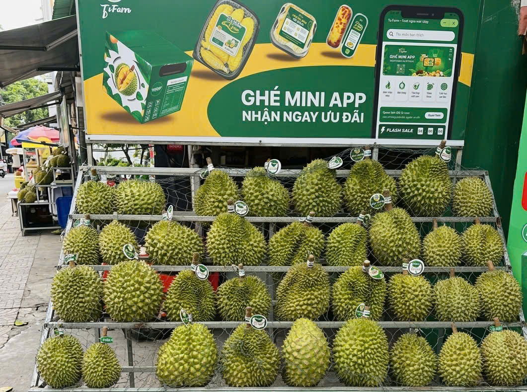 Sầu riêng Ri6 lên ngôi giữa lúc thị trường khan hiếm hàng cao cấp