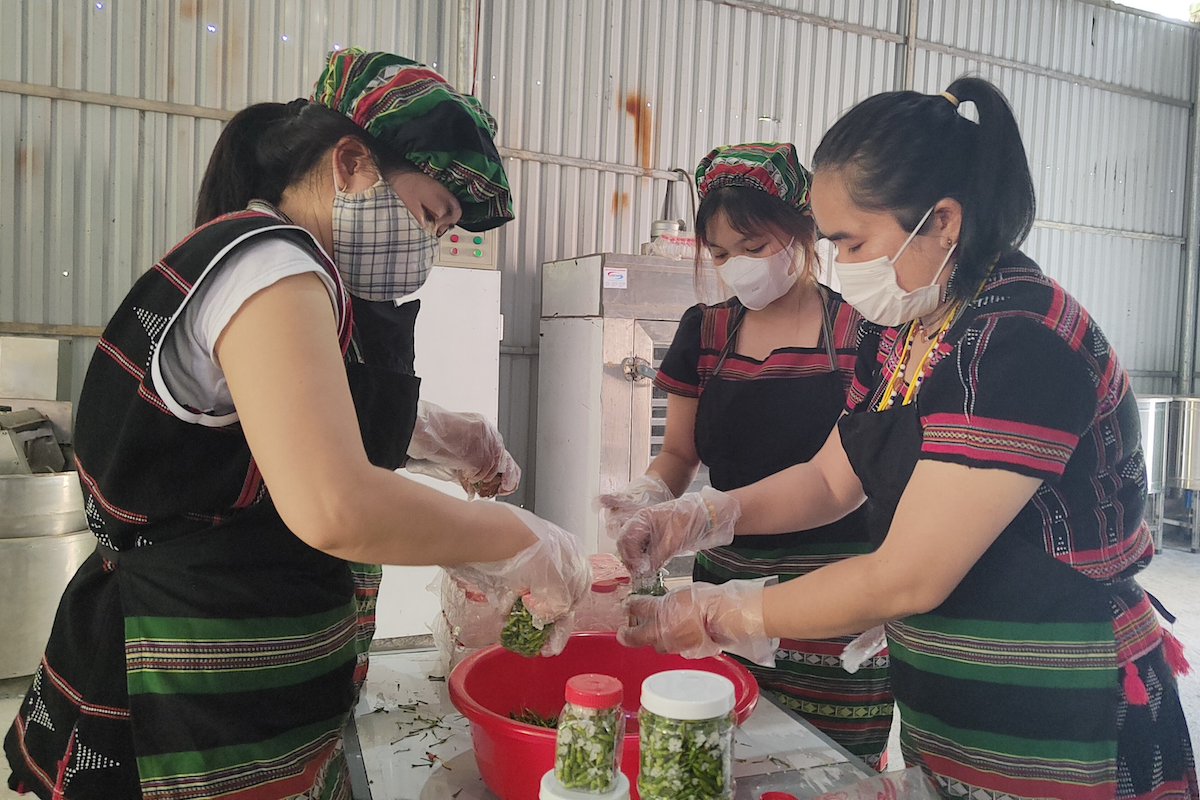 Đà Nẵng xây dựng chính sách khuyến công mới, chú trọng hỗ trợ miền núi