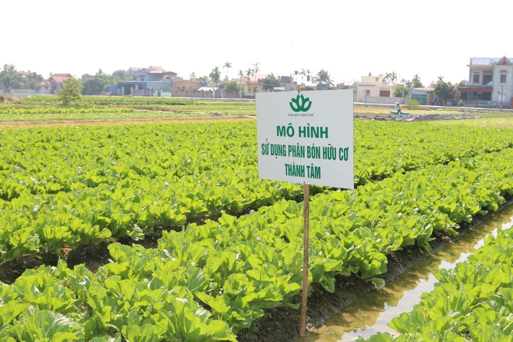 Agribank rao bán khoản nợ 256 tỷ đồng của Công ty Phân bón Thành Tâm