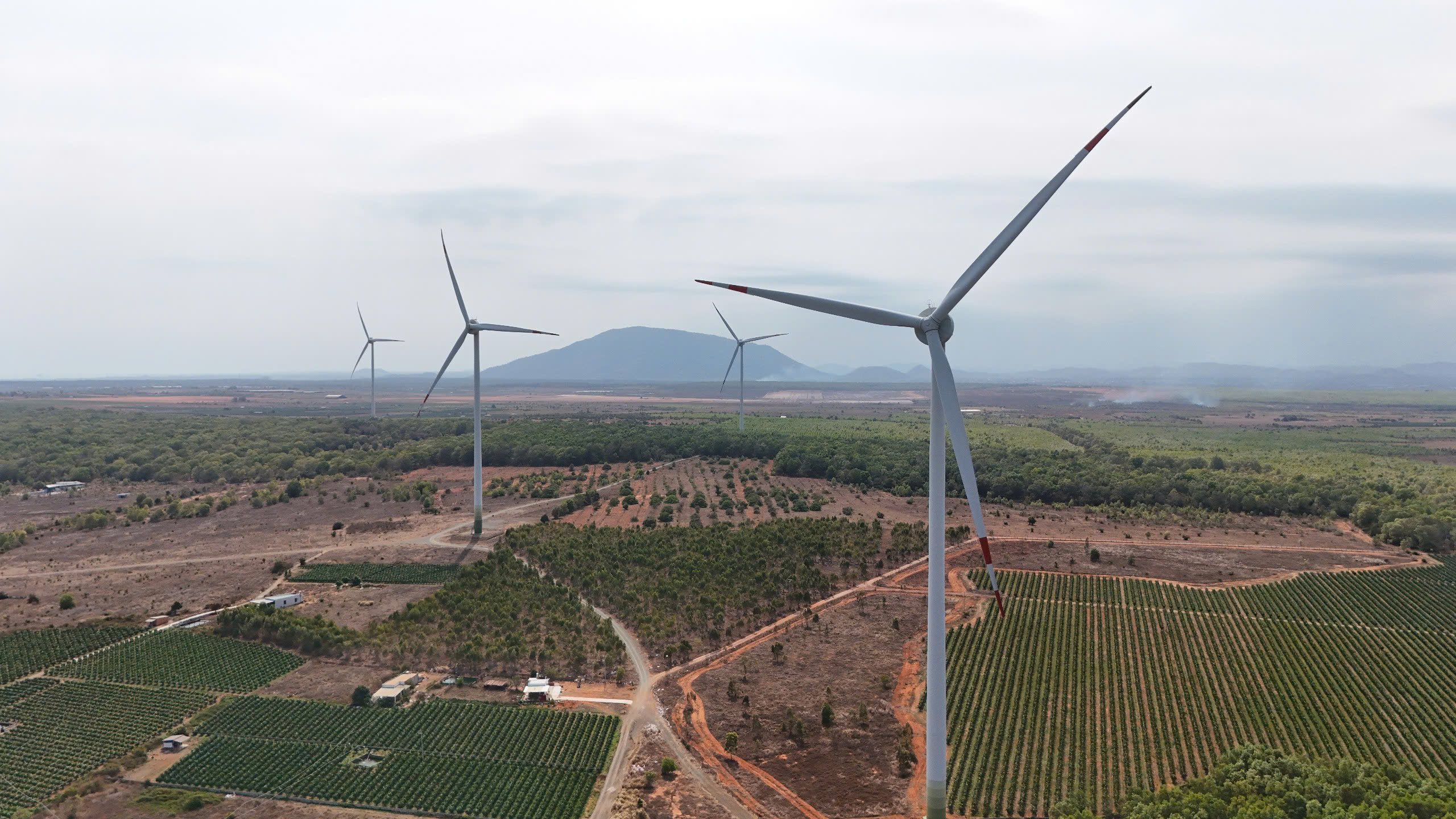 Lâm Đồng: Sản xuất công nghiệp đạt 9,19%, quyết tâm tăng trưởng 2 con số