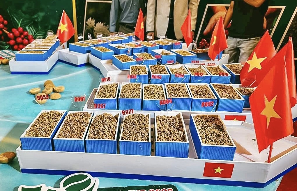 Nâng tầm giá trị cà phê Robusta Gia Lai