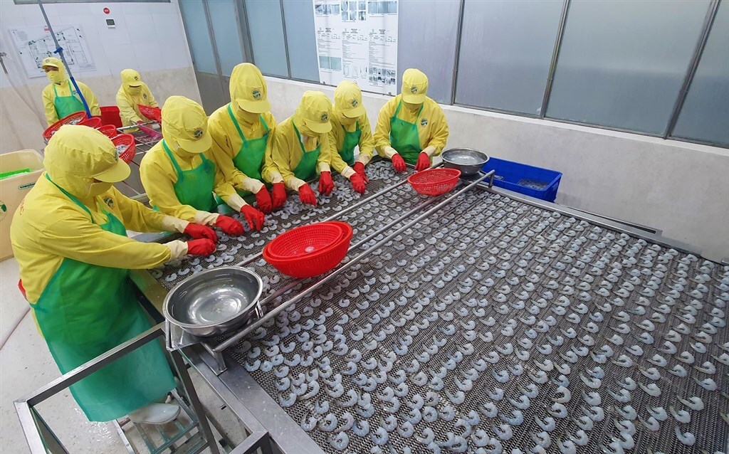 Cà Mau: Chủ động giải pháp ổn định kinh tế vĩ mô, hỗ trợ tăng trưởng