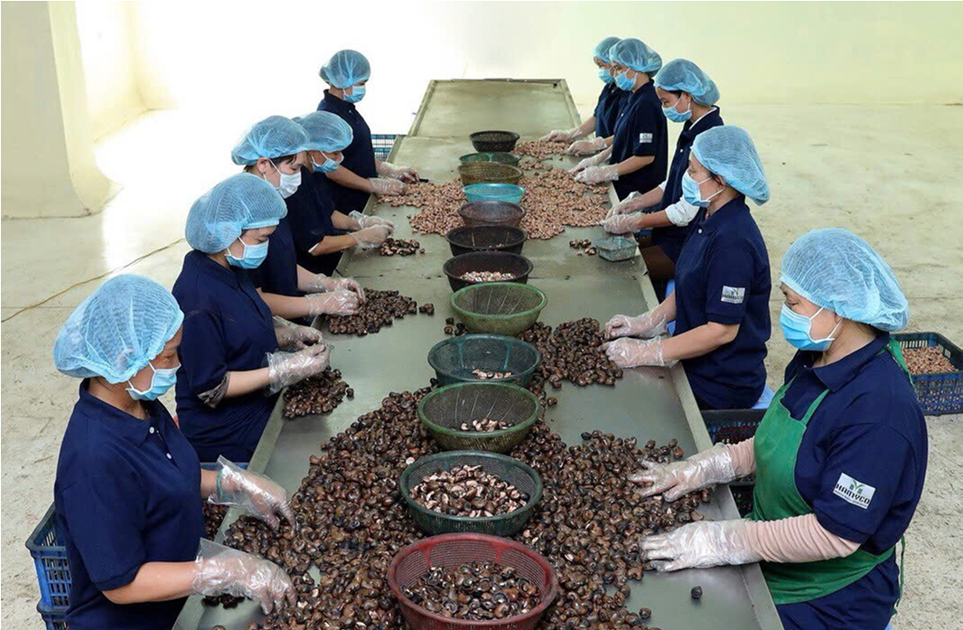 Chủ động kịch bản ứng phó xung đột Trung Đông, ổn định chuỗi nông sản