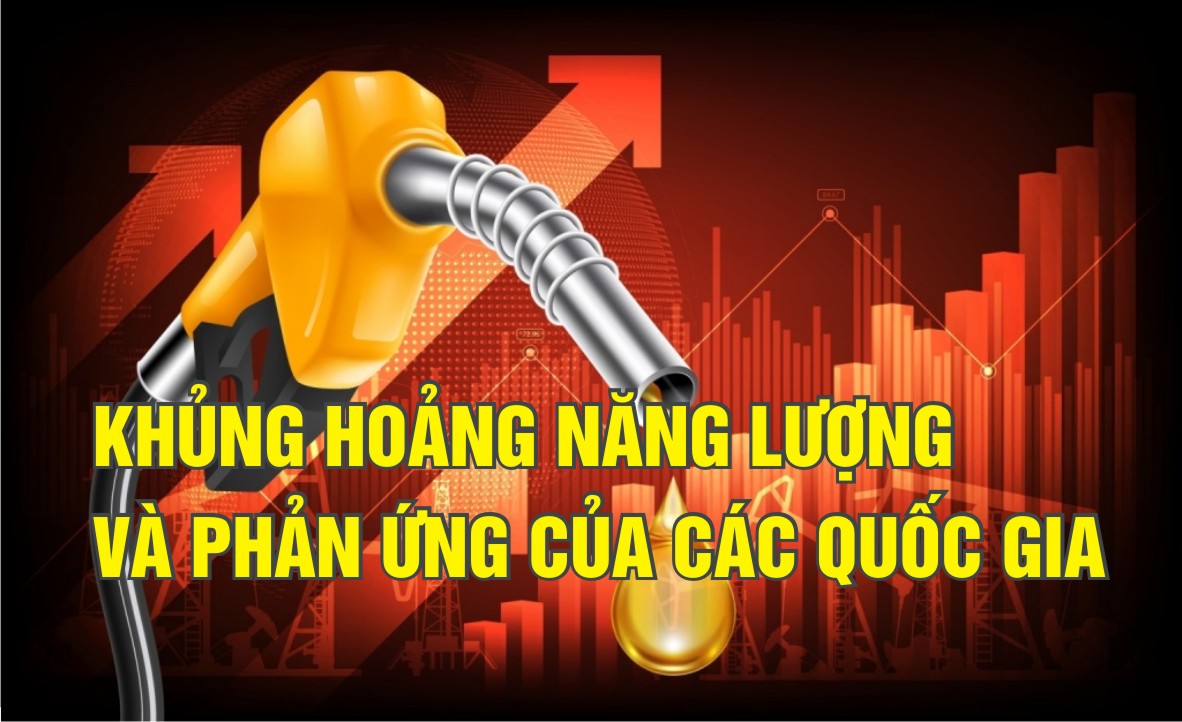 Khủng hoảng năng lượng và phản ứng của các quốc gia