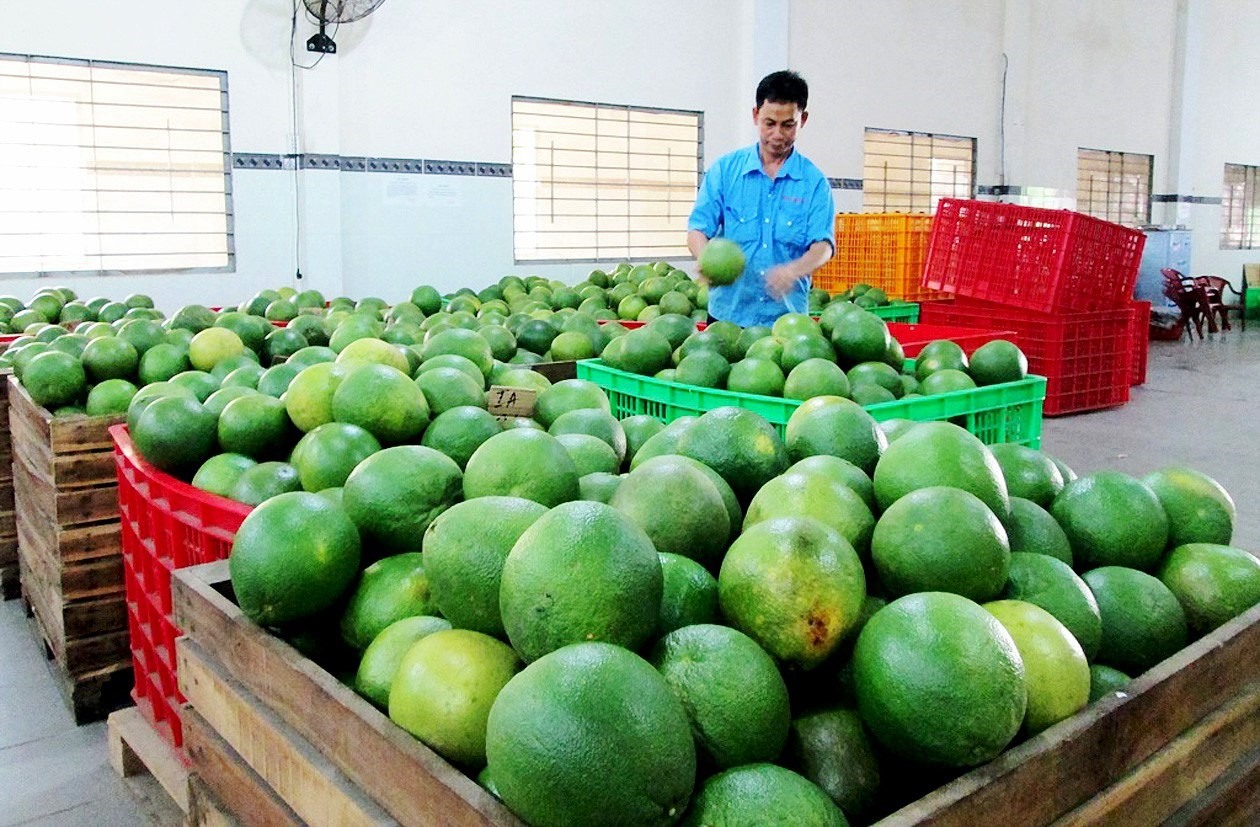 Thương mại Việt Nam - Anh vượt 9,38 tỷ USD, FTA tạo lực đẩy kép