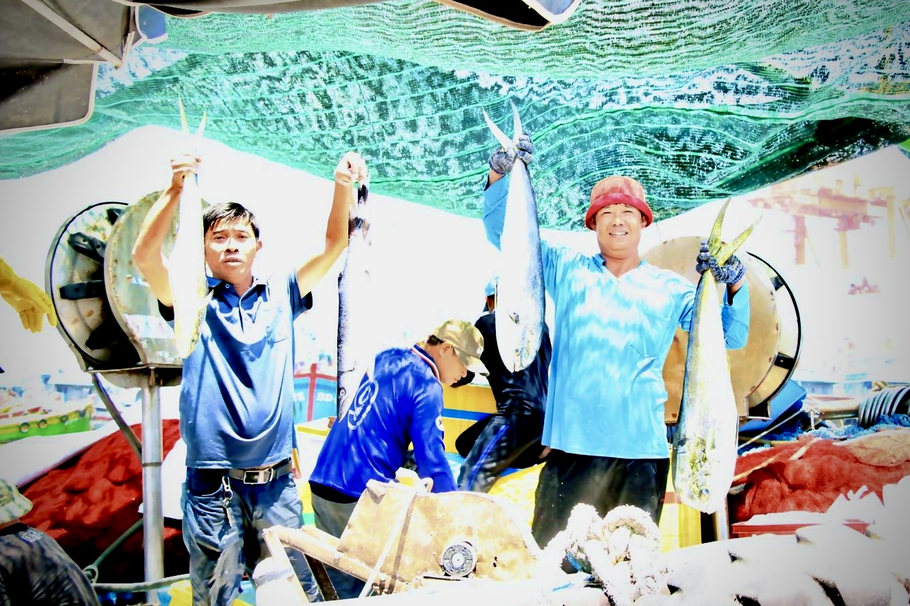 Nhịp mưu sinh rộn ràng ở cảng cá lớn nhất Gia Lai