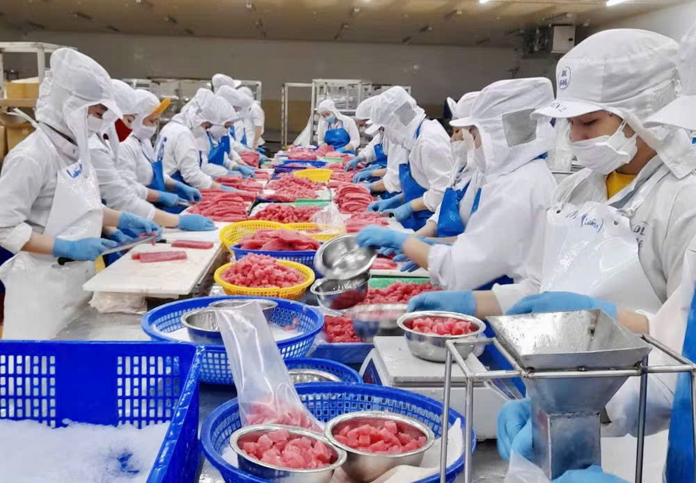 Kinh tế tư nhân bứt phá, Gia Lai phấn đấu thành lập 7.000 doanh nghiệp mới