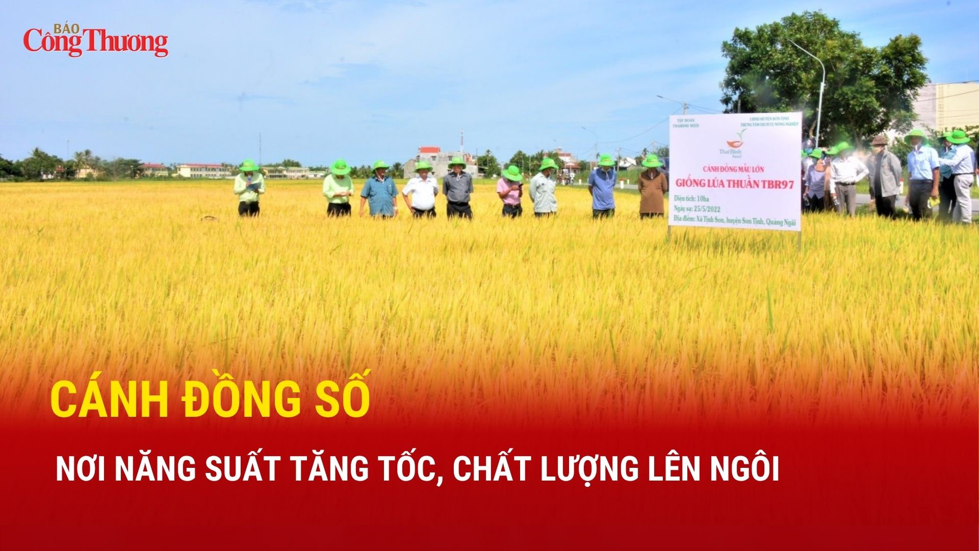 Cánh đồng số: Nơi năng suất tăng tốc, chất lượng lên ngôi