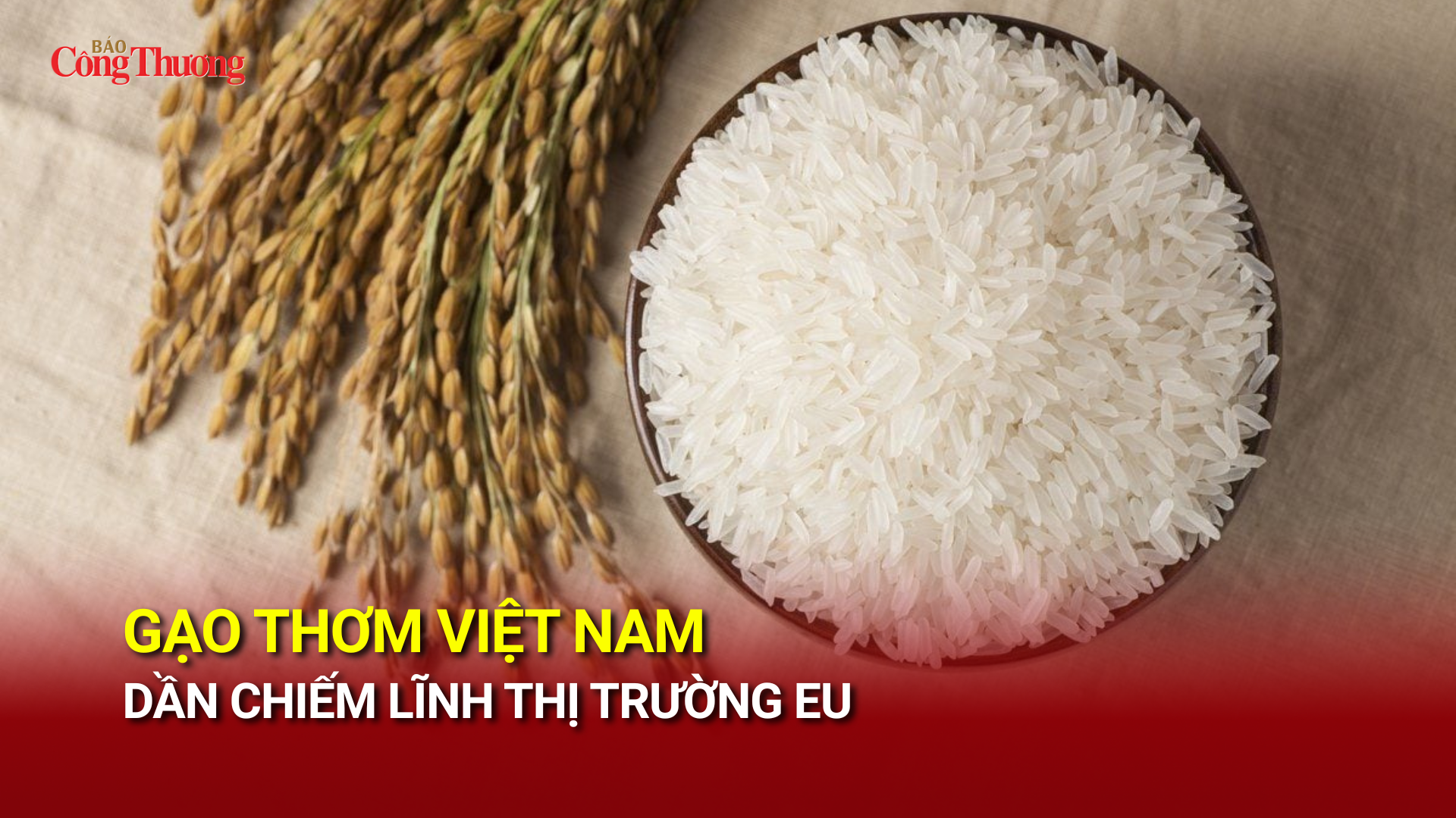 Gạo thơm Việt Nam dần chiếm lĩnh thị trường EU