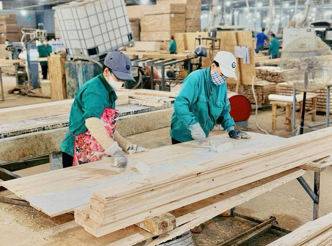Ngành gỗ Gia Lai: Vượt thách thức, tăng trưởng ấn tượng