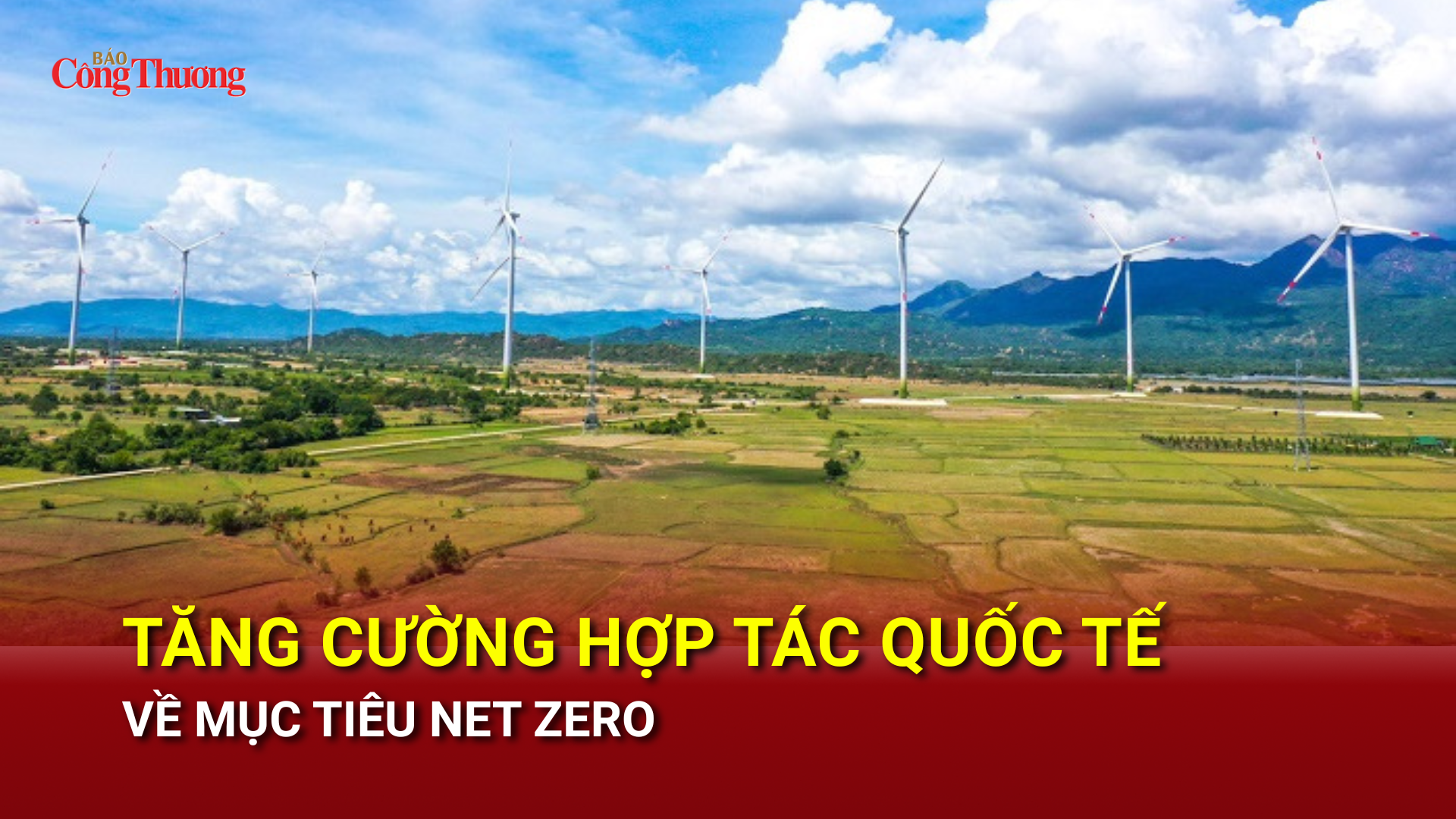 Tăng cường hợp tác quốc tế về mục tiêu Net Zero