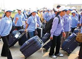 Chính phủ trình Quốc hội thêm dự án luật vào chương trình 2026