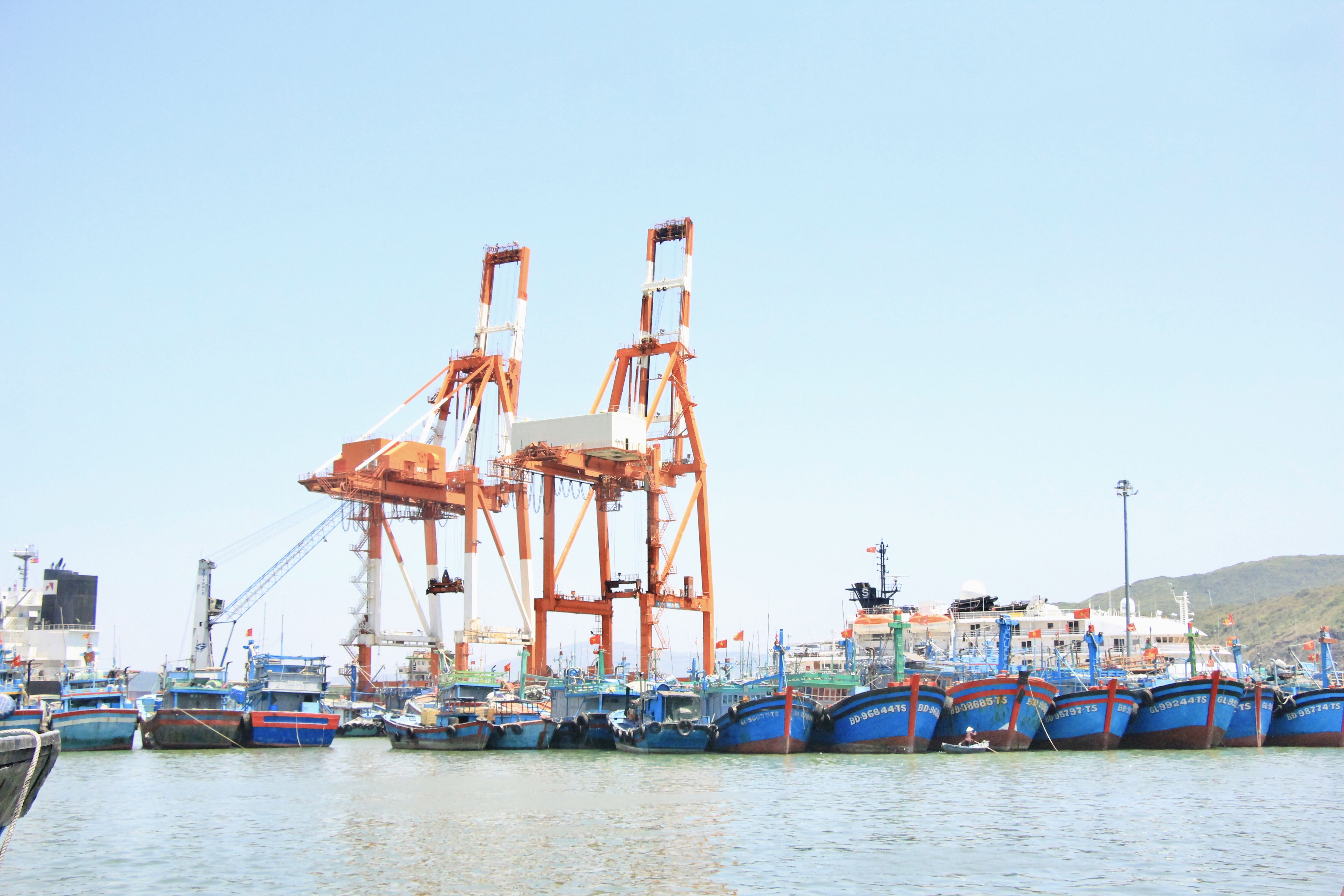 Gia Lai: Bảo vệ, tái tạo nguồn lợi thủy sản