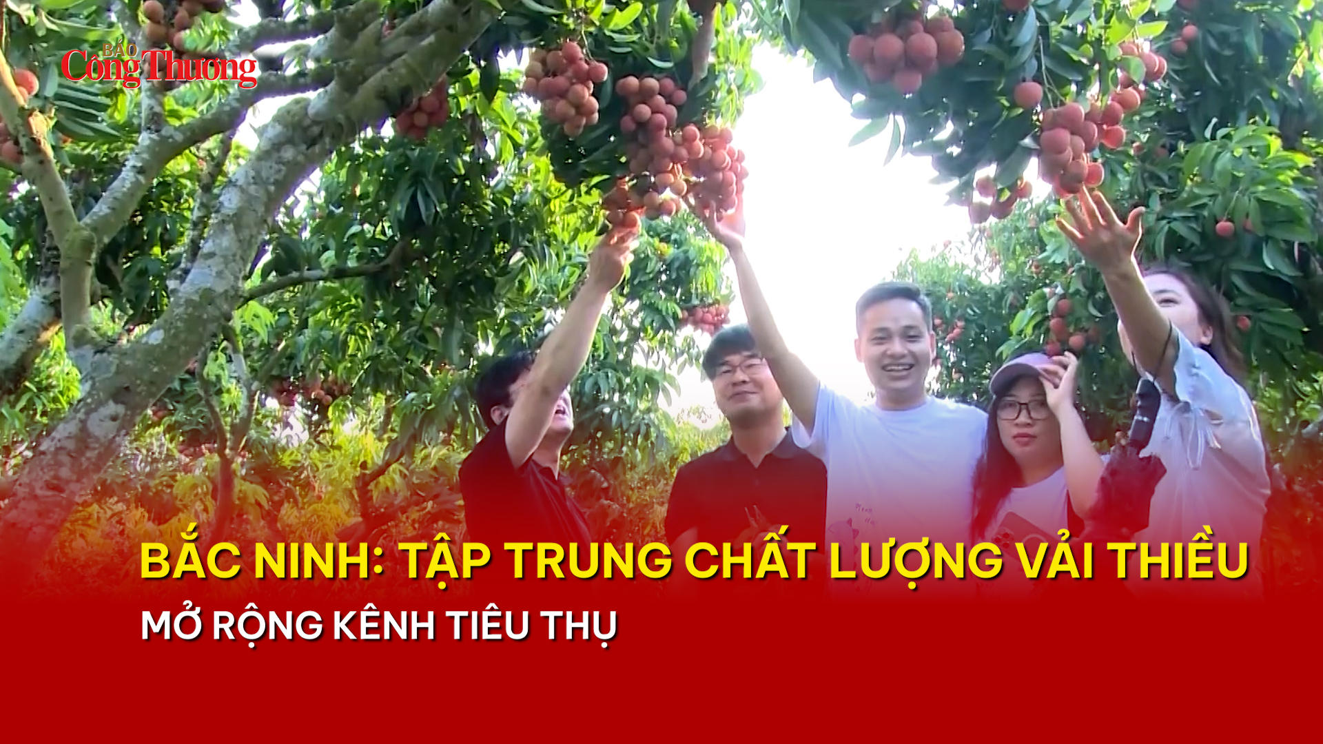 Bắc Ninh: Tập trung chất lượng vải thiều, mở rộng kênh tiêu thụ