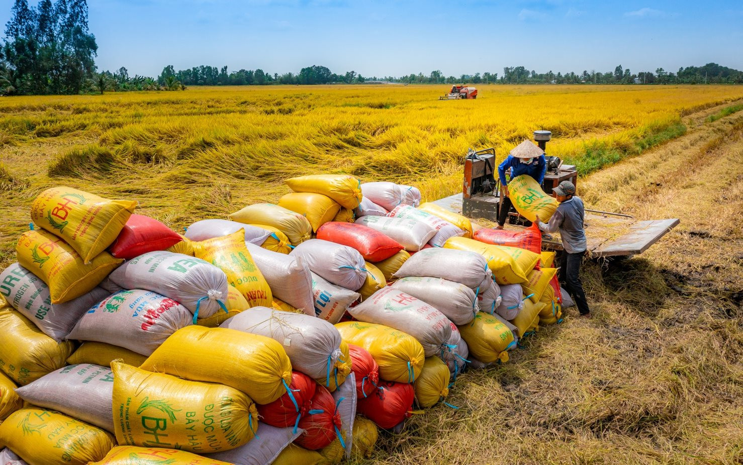 An ninh lương thực ASEAN trước phép thử mới