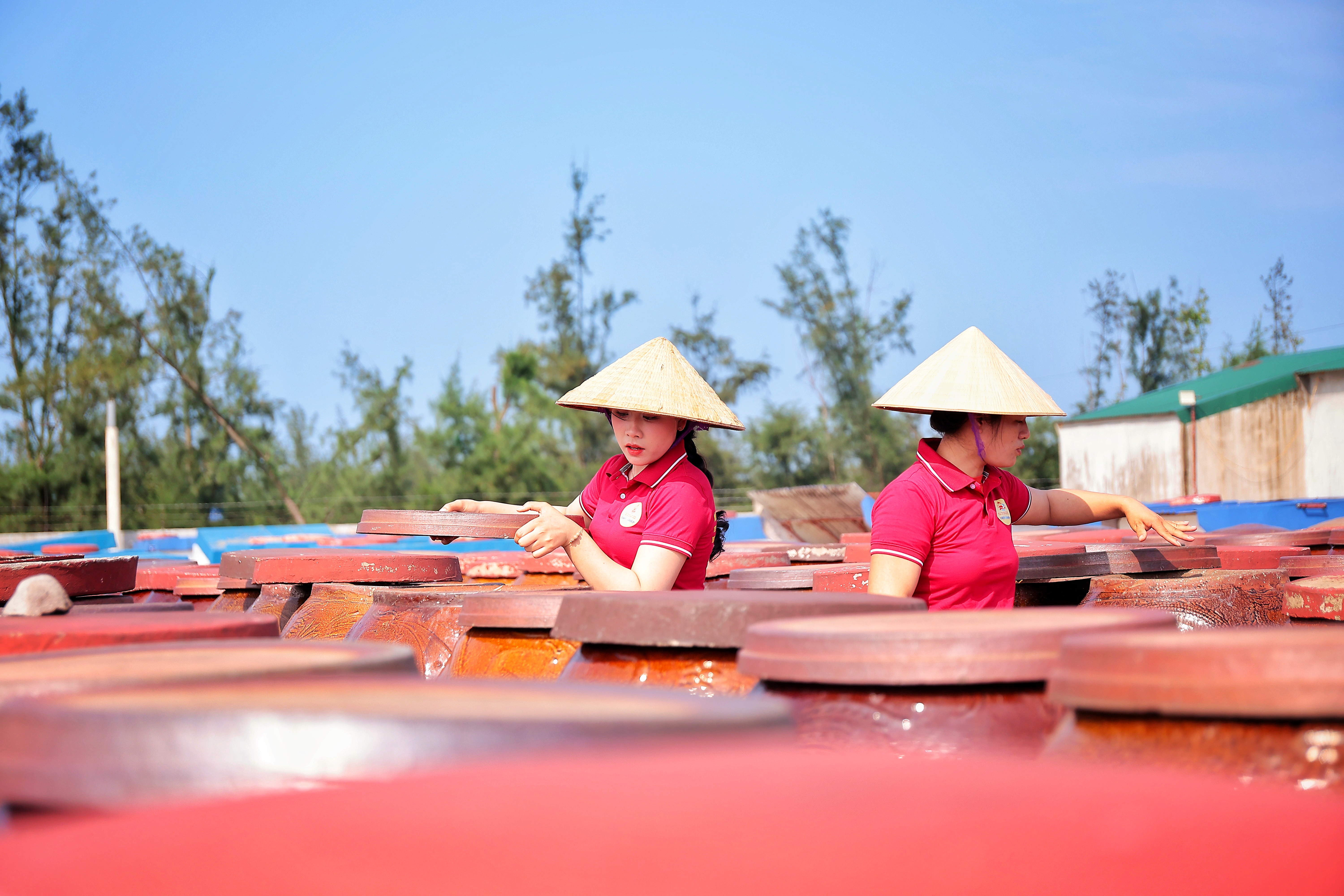 Quy trình sản xuất của thương hiệu nước mắm đạt OCOP 5 sao ở Hà Tĩnh