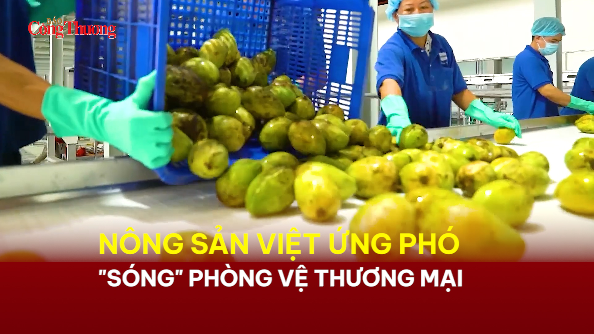 Nông sản Việt ứng phó 