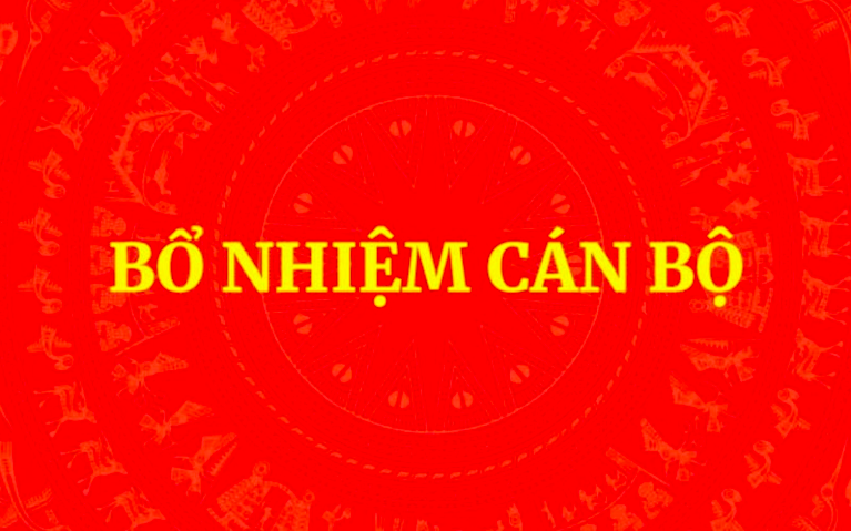 Bổ nhiệm Trợ lý Thủ tướng, Phó Thủ tướng Thường trực Chính phủ