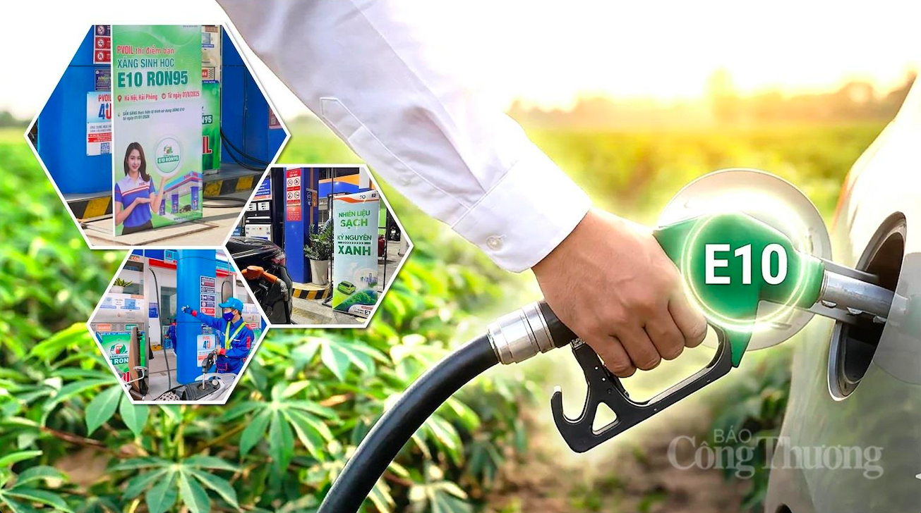 Phát triển xăng sinh học: Việt Nam không nằm ngoài cuộc chơi