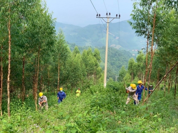 Giữ an toàn lưới điện từ ý thức, trách nhiệm cộng đồng
