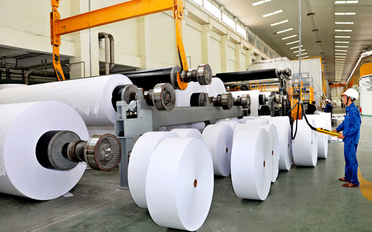 Ngành giấy trước áp lực tăng trưởng: Gỡ nút thắt thu gom, tái chế 