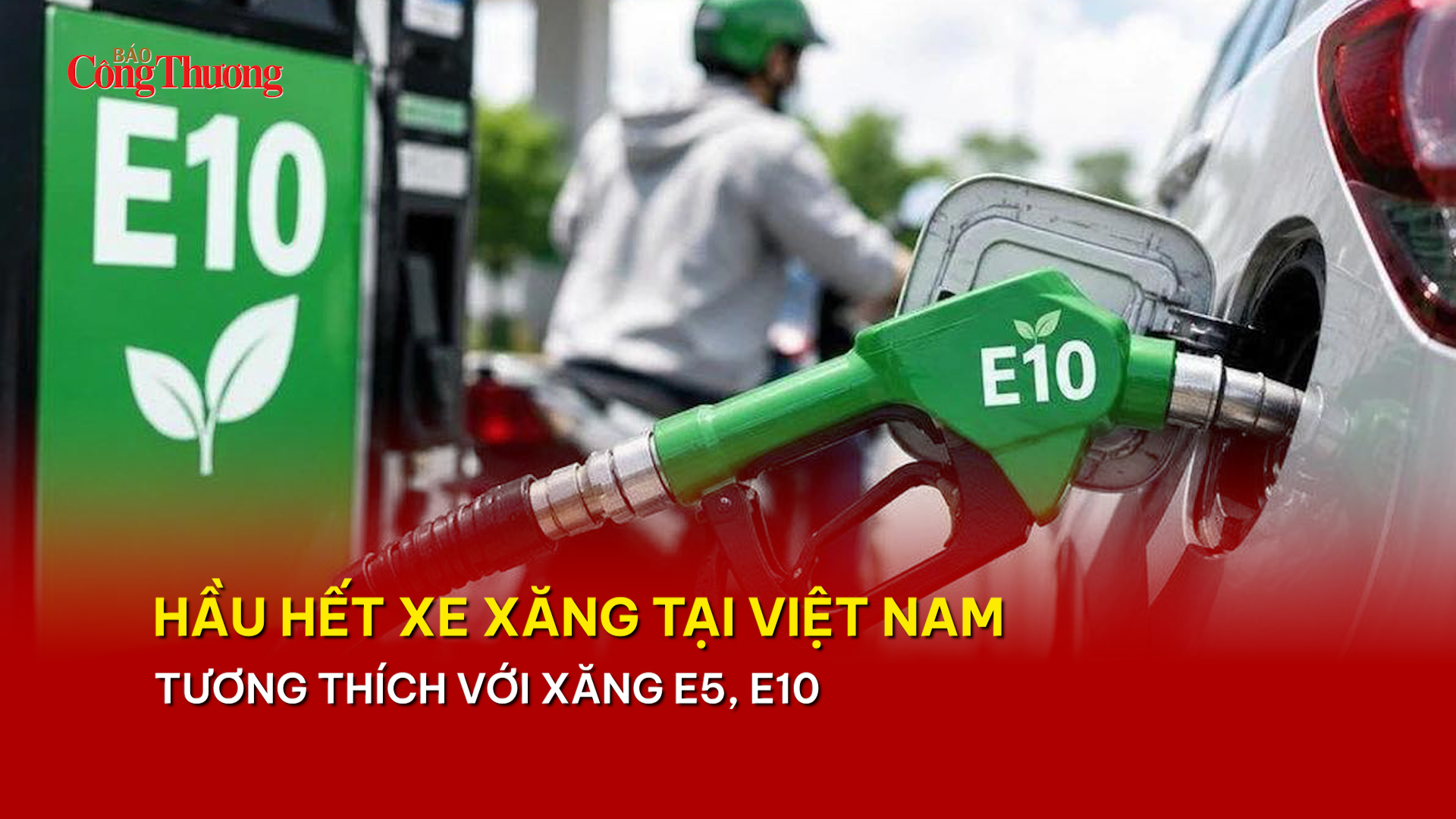Hầu hết xe xăng tại Việt Nam tương thích với xăng E5, E10