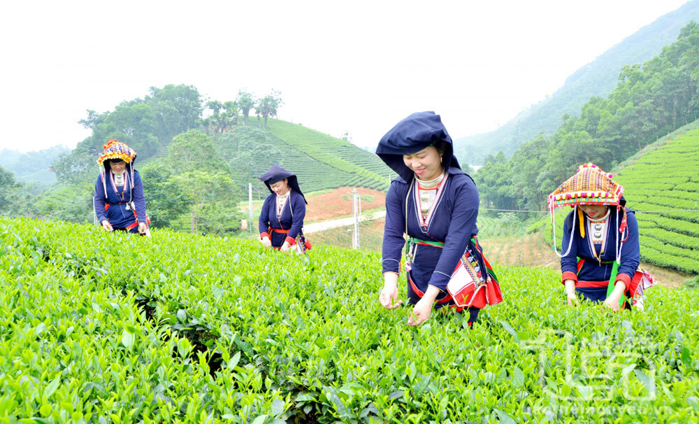 Chính phủ giao kế hoạch đầu tư công trung hạn vốn ngân sách trung ương giai đoạn 2026 - 2030