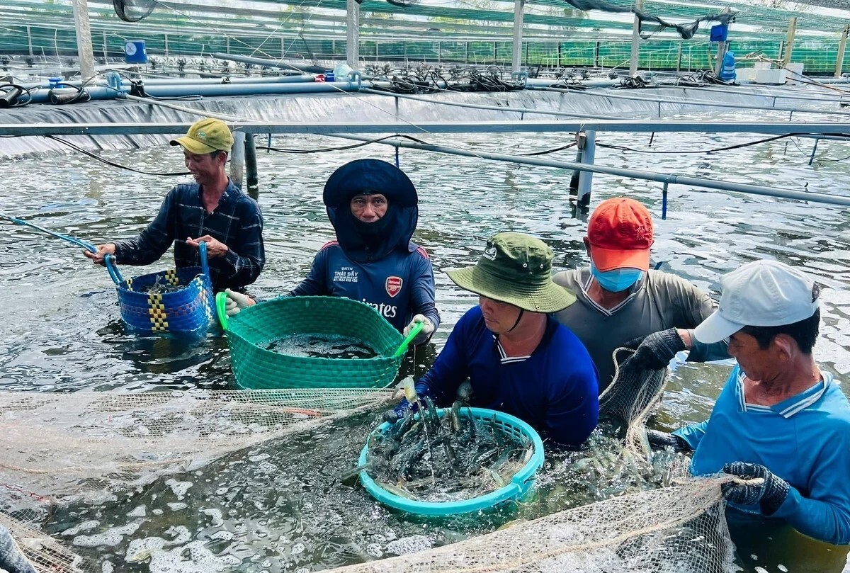 Công nghiệp, thương mại Cà Mau khởi sắc trong nửa đầu năm 2026