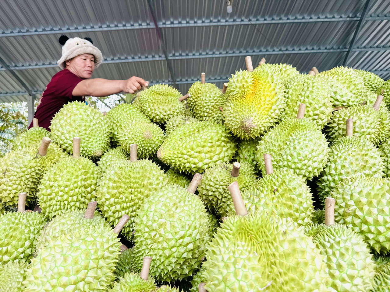 Xuất khẩu nông, lâm, thủy sản: Tăng trưởng nhờ thích ứng thị trường