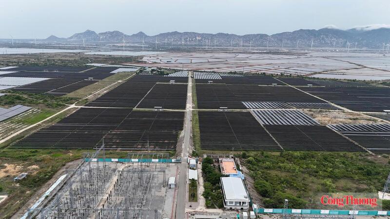 Khánh Hòa: Lựa chọn nhà đầu tư dự án điện mặt trời gần 1.000 tỷ đồng