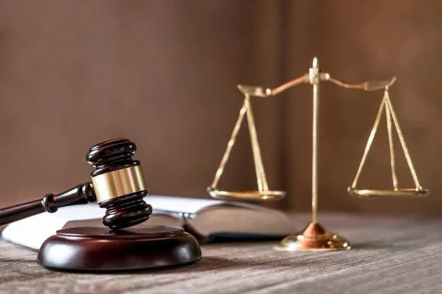 Chính phủ ban hành kế hoạch thực hiện Định hướng lập pháp