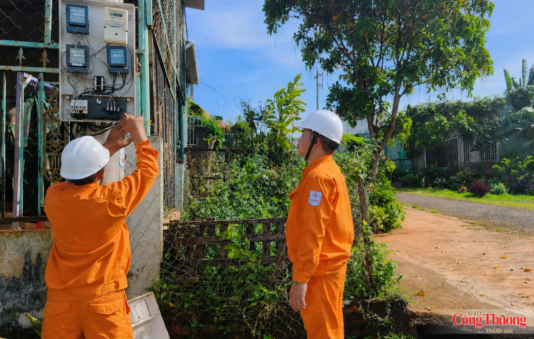 PC Gia Lai tăng trưởng toàn diện trong 6 tháng đầu năm 2026