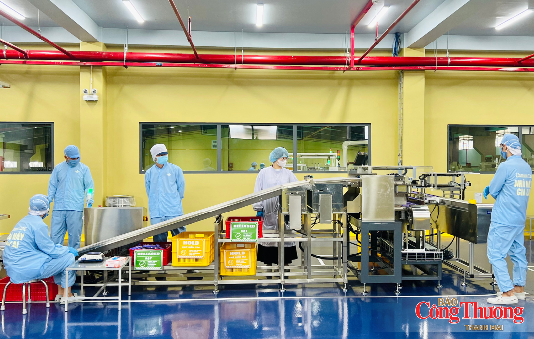 Gia Lai: Xuất khẩu vượt 2,35 tỷ USD, công nghiệp, thương mại đều tăng