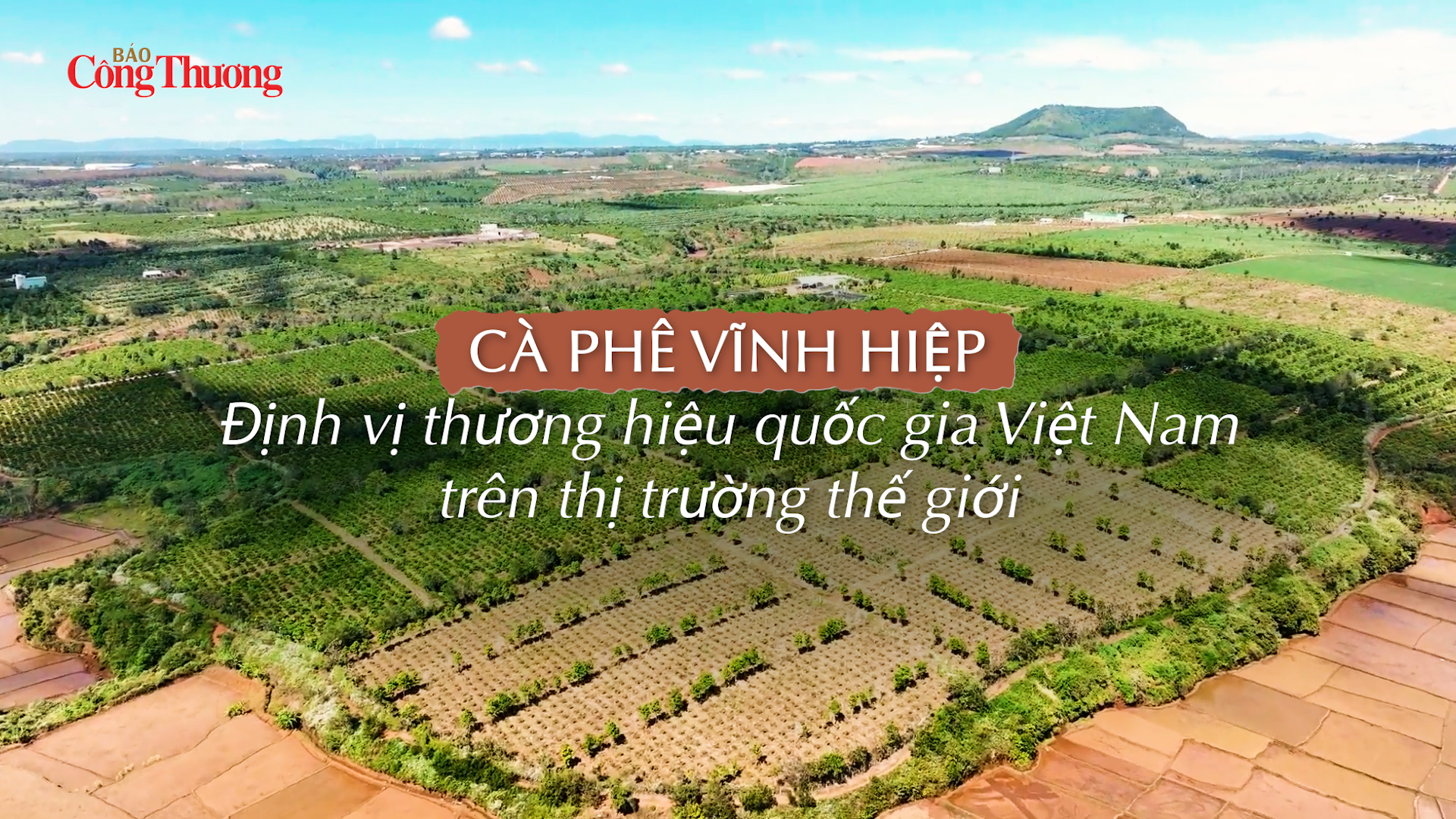 Cà phê Vĩnh Hiệp: Định vị thương hiệu quốc gia Việt Nam trên thị trường thế giới