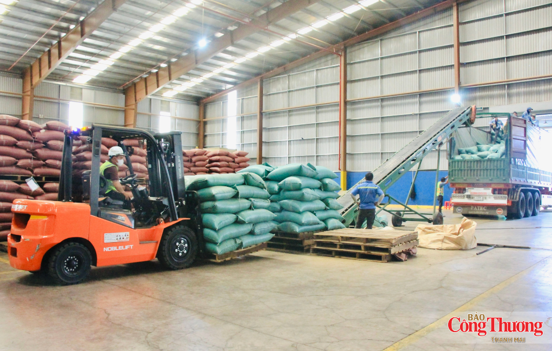 Cà phê tiếp tục giữ 'ngôi vương' xuất khẩu của Gia Lai