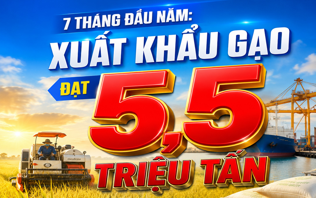 Infographic | 7 tháng đầu năm: Xuất khẩu gạo đạt 5,5 triệu tấn