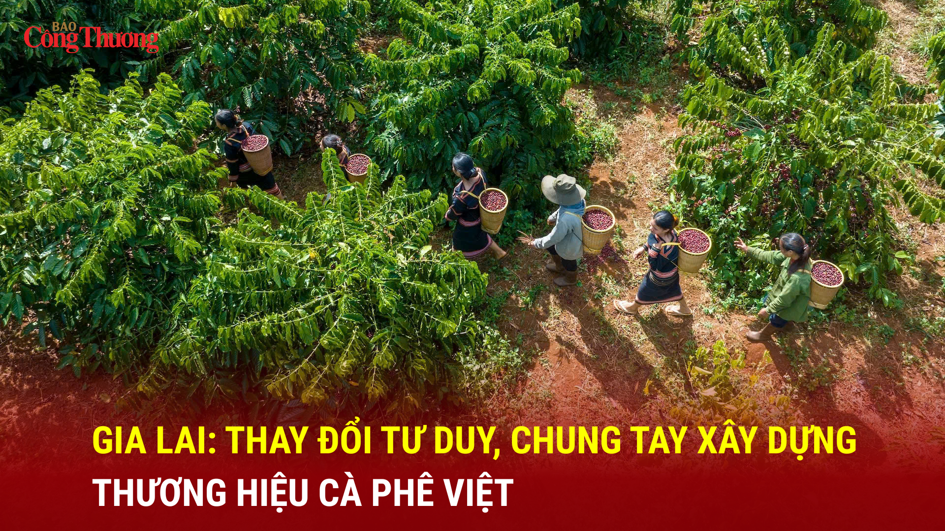 Gia Lai: Thay đổi tư duy, chung tay xây dựng thương hiệu cà phê Việt