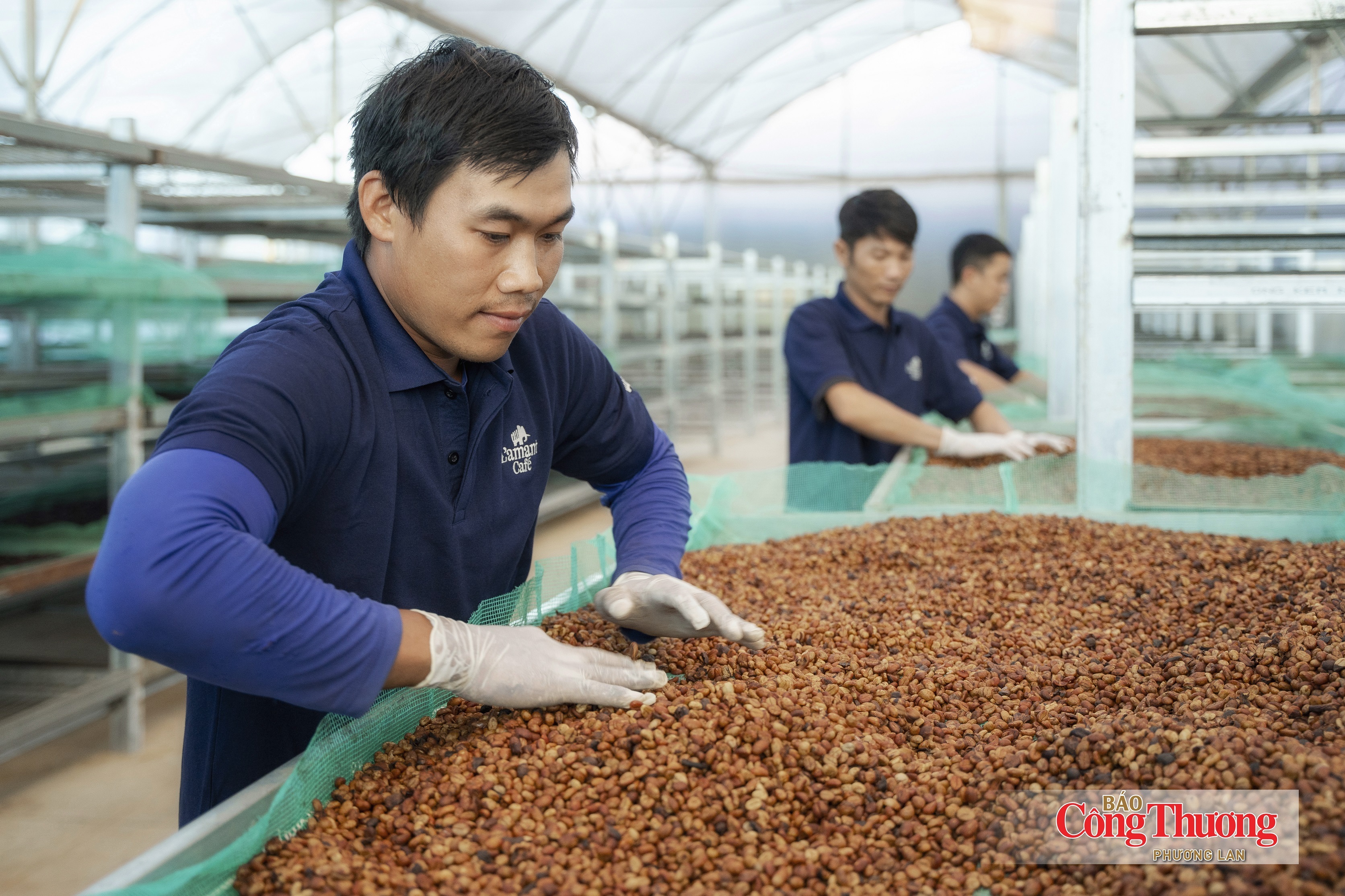 Từ lợi thế EVFTA đến ‘bài toán’ đáp ứng EUDR