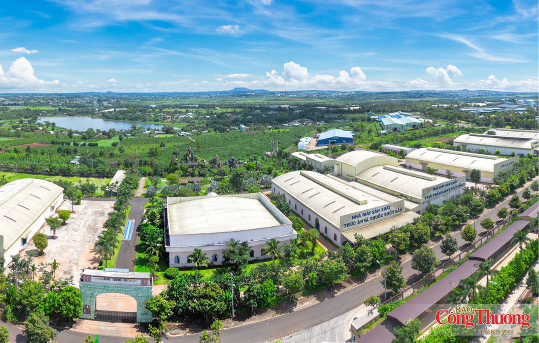 Gia Lai phê duyệt nhà đầu tư Cụm công nghiệp Tân Nghi 65 ha
