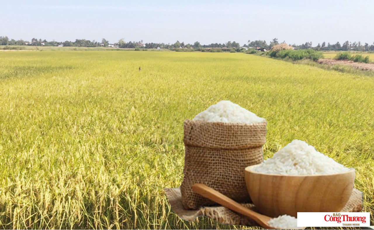 Giá lúa gạo hôm nay ngày 17/8: Gạo nguyên liệu xuất khẩu đảo chiều giảm nhẹ
