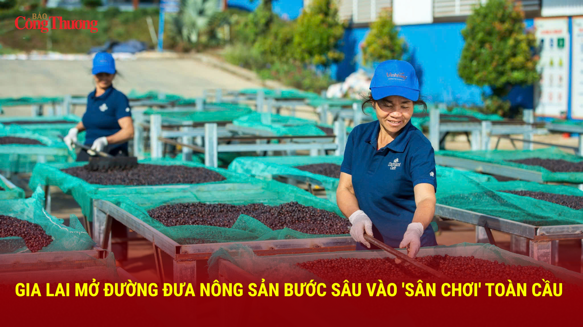 Gia Lai mở đường đưa nông sản bước sâu vào 'sân chơi' toàn cầu