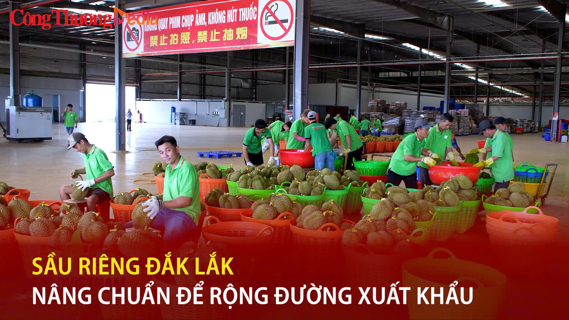 Sầu riêng Đắk Lắk: Nâng chuẩn để rộng đường xuất khẩu