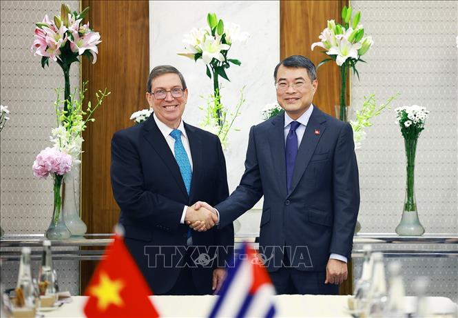 Thủ tướng Lê Minh Hưng tiếp Bộ trưởng Ngoại giao Cuba