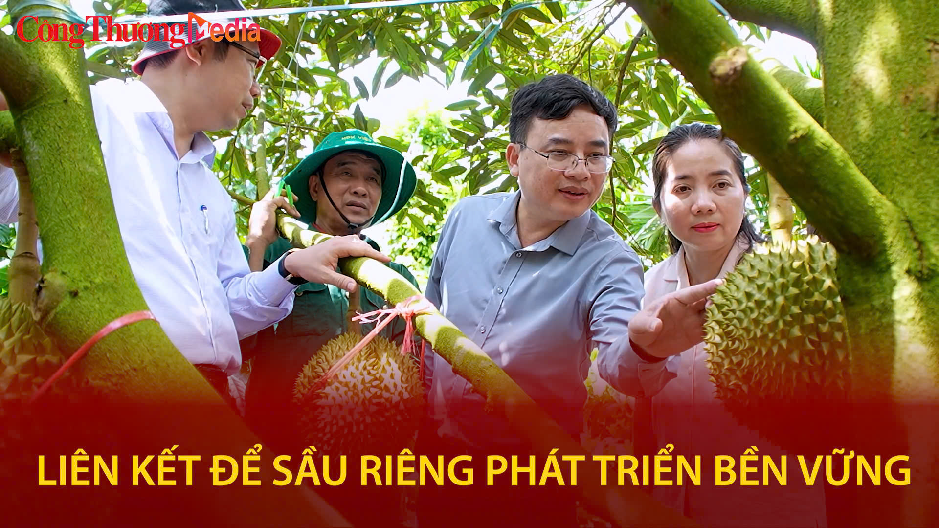 Liên kết để sầu riêng phát triển bền vững