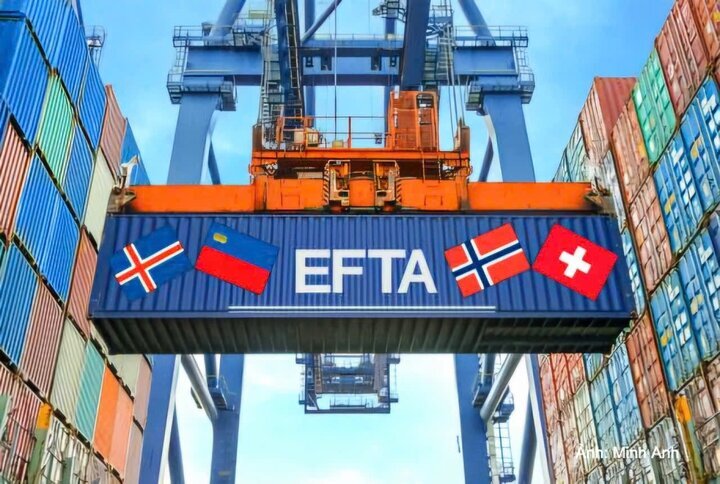 VEFTA mở rộng thị trường xuất khẩu, thu hút dòng vốn chất lượng cao